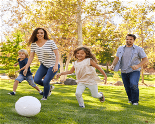 贵州探讨打通刺梨产品绿色通道 拟推动绿色产品走出国门