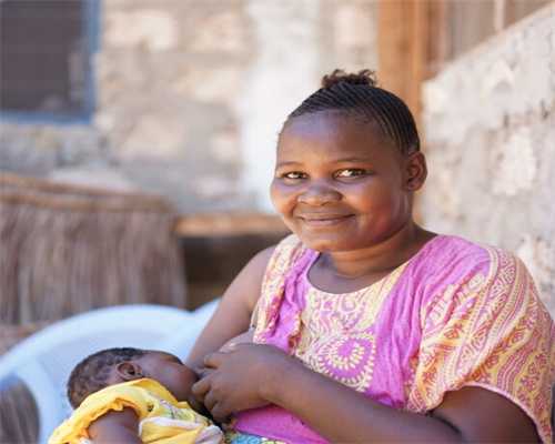 二哈贪吃 “猪命关天”，小黄送葬尽显真情