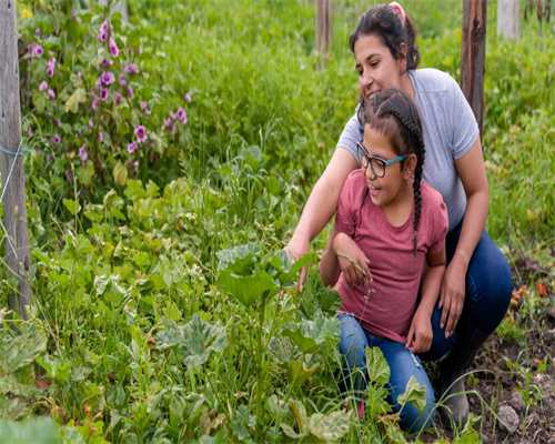 “少数派报告”：2021年美国国家图书奖获奖作品述评