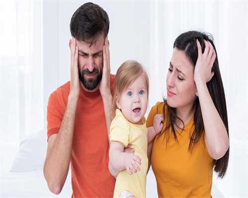 《月半爱丽丝》：你们考虑过胖纸的感受吗？